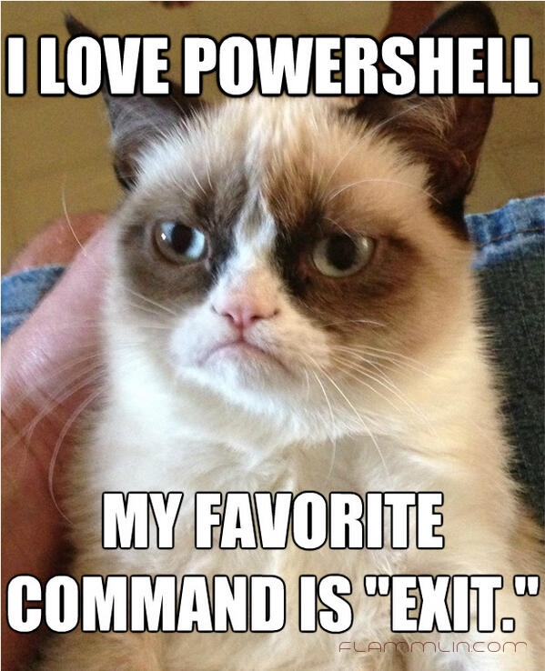 powershell-cat-love-exit